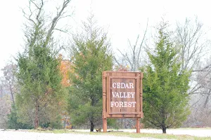 Cedar Valley Forest image