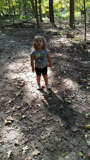 Park «Messenger Marsh», reviews and photos, S Bell Rd, Homer Glen, IL 60491, USA