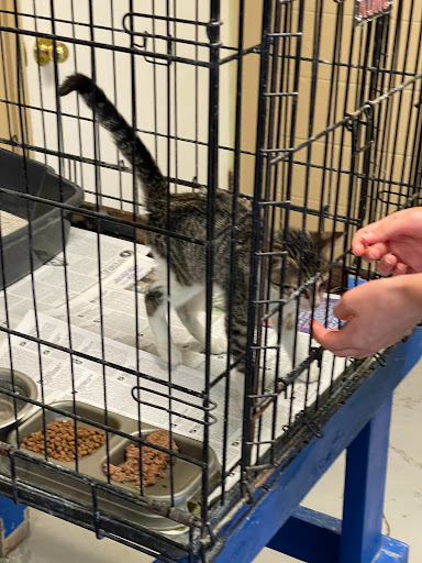 Franklin County Humane Society