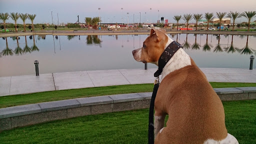 Park «Rio Salado Park», reviews and photos, 80 West Rio Salado Parkway, Tempe, AZ 85281, USA