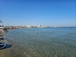 Alamo Beach'in fotoğrafı kısmen otel alanı