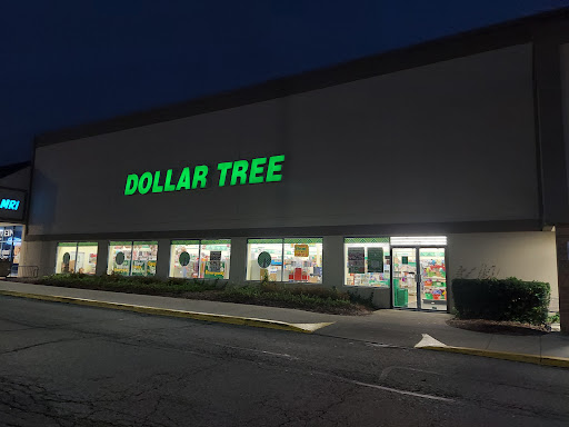 Dollar Store «Dollar Tree», reviews and photos, 723 W State Rte 22, Lake Zurich, IL 60047, USA