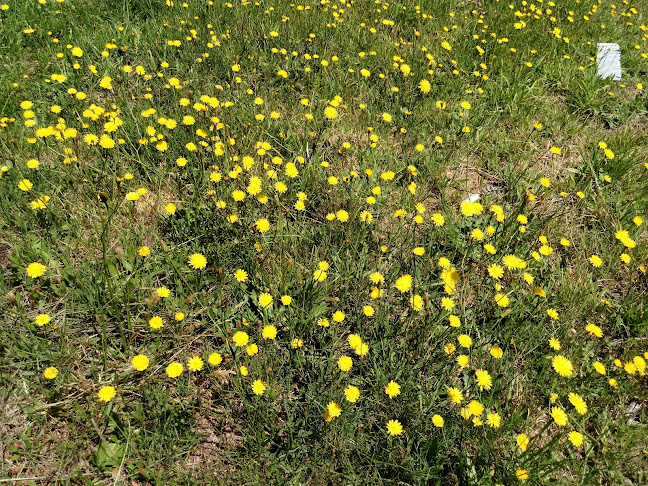 Agrocamping Australâ - Camping