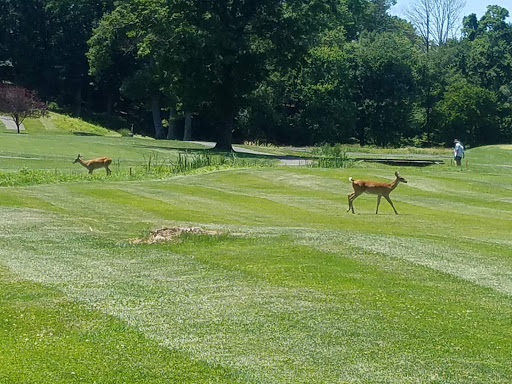 Golf Course «Galloping Hill Park and Golf Course», reviews and photos, 3 Golf Dr, Kenilworth, NJ 07033, USA