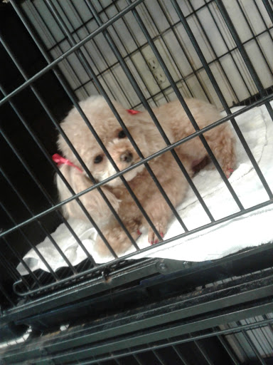 1625 N Pine St, DeRidder, LA 70634, USA