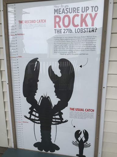 Aquarium «Maine State Aquarium», reviews and photos, 194 McKown Point Rd, West Boothbay Harbor, ME 04575, USA