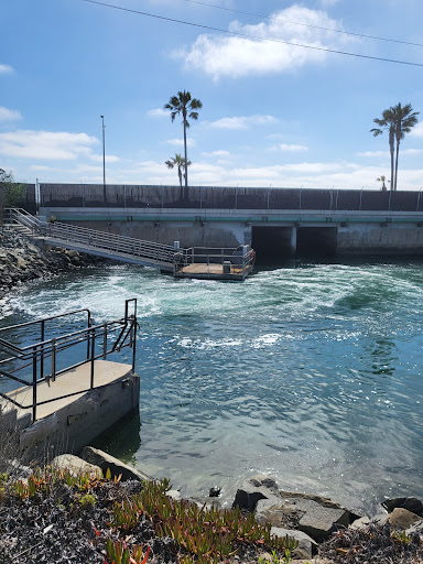 Aquaculture farm Oceanside