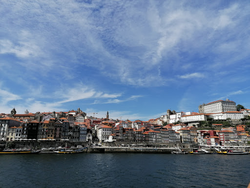 Cruzeiros no Douro