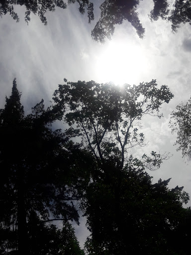 Park «Northacres Park», reviews and photos, 12718 1st Ave NE, Seattle, WA 98125, USA