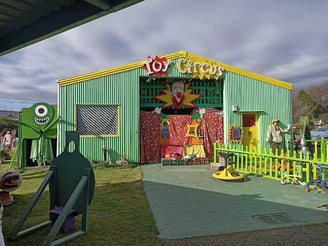 Reviews of Toy Circus in Shannon - Other