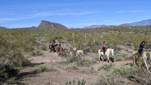 Betty's Trail Rides