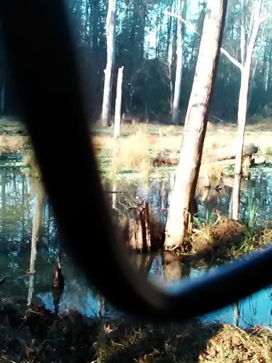 Nature Preserve «Melvin L. Newman Wetlands Center», reviews and photos, 2755 Freeman Rd, Hampton, GA 30228, USA