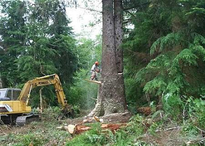 Bigby's Tree Service