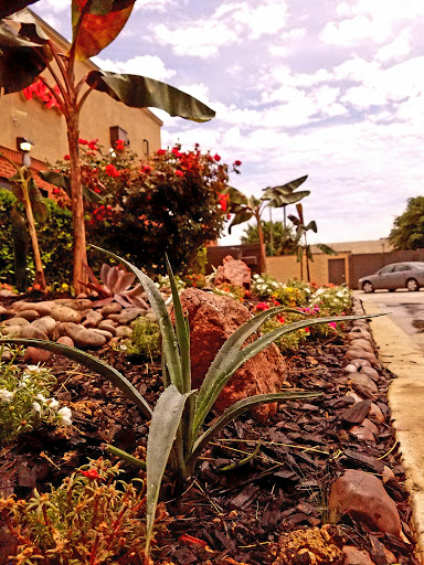 Fast Food Restaurant «Chick-fil-A», reviews and photos, 3705 Main St, The Colony, TX 75056, USA