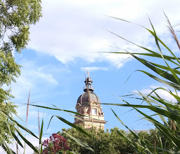 Stolten Park photo