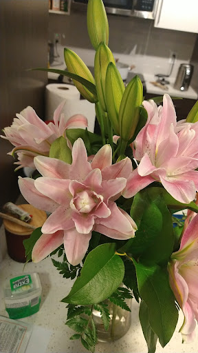 Florist «Chantilly Flowers», reviews and photos, 14514 Lee Rd E, Chantilly, VA 20151, USA