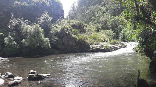 Refugio Ecológico Molinuco