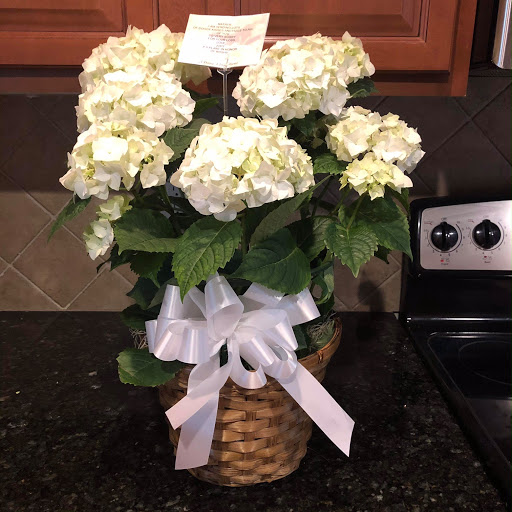 Florist «A Daisy A Day», reviews and photos, 749 Silas Creek Pkwy, Winston-Salem, NC 27127, USA