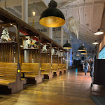 Photo n°3 de l'avis de Stefan.e fait le 08/01/2023 à 20:15 sur le  Restaurant Bubba Svens à Rust