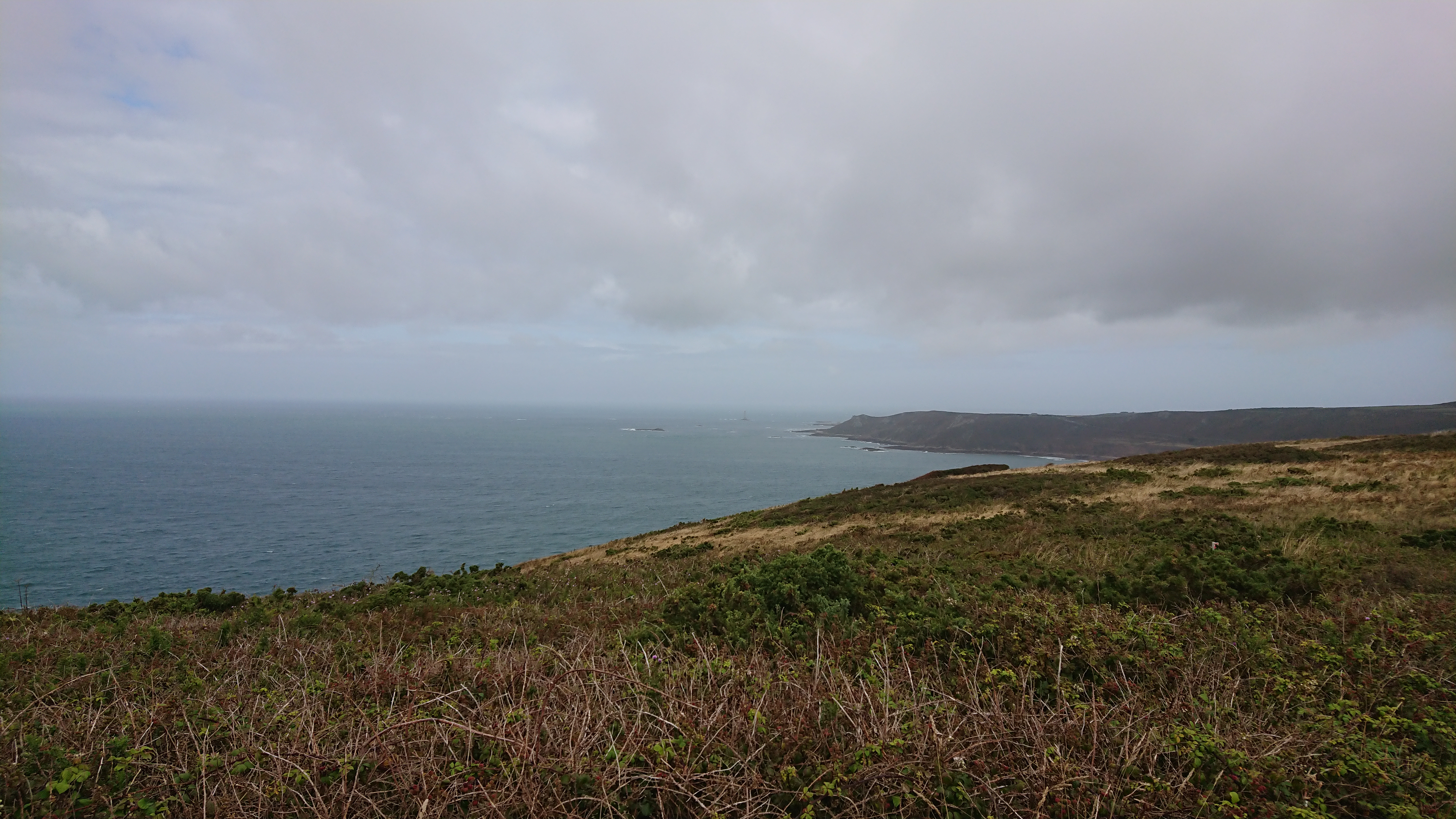 Photo n° 16 de l'avis de Ignacio.. fait le 15/08/2019 à 11:16