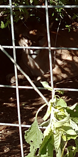 Zoo «Cricket Hollow Zoo», reviews and photos, 1512 210th St, Manchester, IA 52057, USA