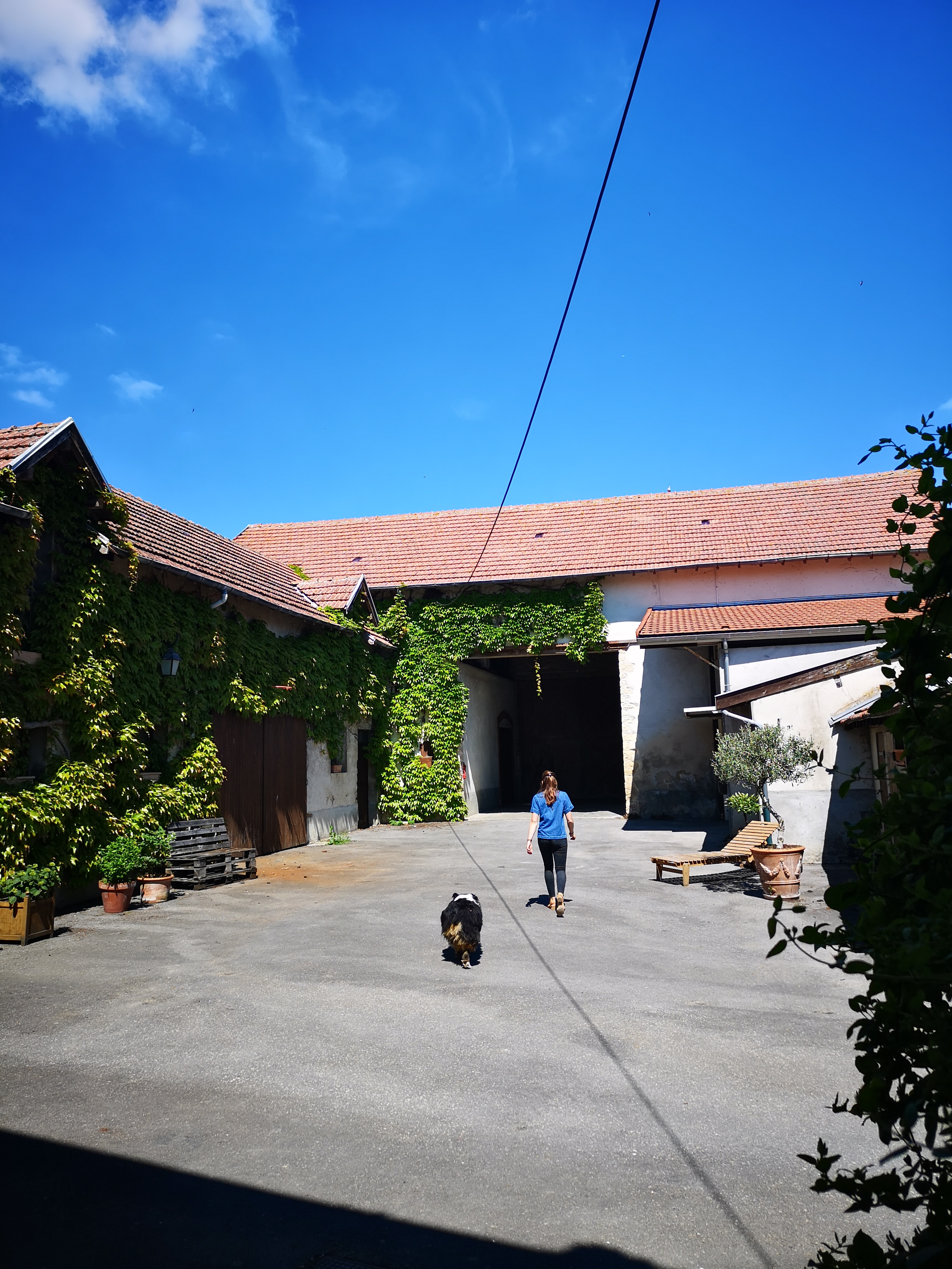 Photo n° 1 de l'avis de Baptiste.u fait le 01/06/2019 à 10:10