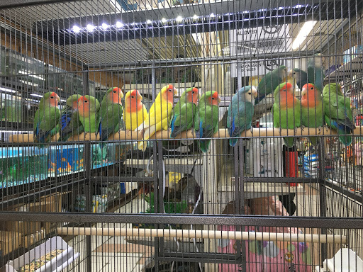 Pet Store «Tropical Pets Inc.», reviews and photos, 37-65 103rd St, Corona, NY 11368, USA