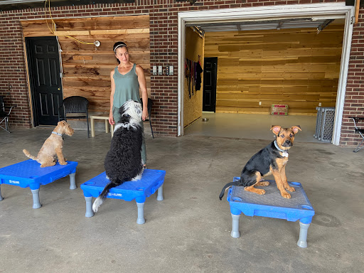 Georgia Dog Trainer