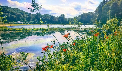 Park «Bethany Veterans Memorial Park», reviews and photos, 265 Beacon Rd, Bethany, CT 06524, USA