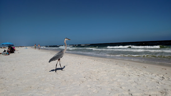 Johnson's Beach