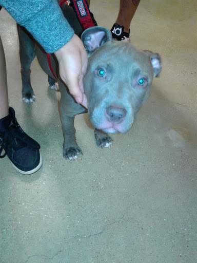 Pet Supply Store «PetSmart», reviews and photos, 271 New Rd, Somers Point, NJ 08244, USA