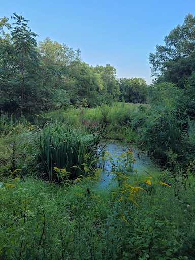 Nature Preserve «Hoover Forest Preserve», reviews and photos, 11285 W Fox Rd, Yorkville, IL 60560, USA