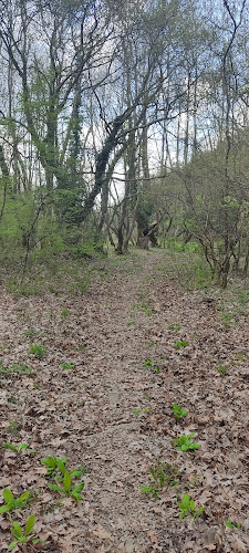 Αξιολογήσεις για το ΝΗΠΙΑΓΩΓΕΙΟ ΠΛΑΤΑΝΙΑΣ στην Παραμυθιά - Σχολείο