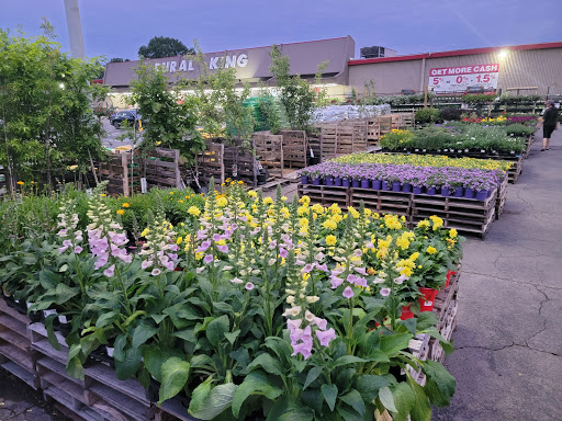 Department Store «Rural King», reviews and photos, 1141 Fort Campbell Blvd, Clarksville, TN 37042, USA