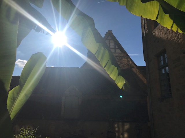 Photo n° 6 de l'avis de Isabelle.E fait le 28/09/2021 à 07:21