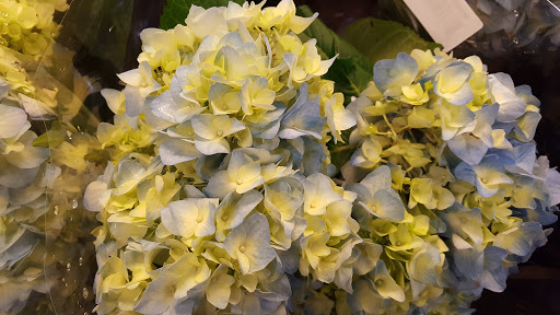 Grocery Store «Wynn’s Market», reviews and photos, 141 9th St N, Naples, FL 34102, USA