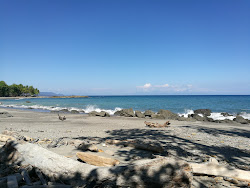 Playa Los Cedros'in fotoğrafı - rahatlamayı sevenler arasında popüler bir yer