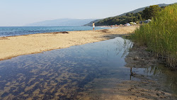 Polydendri beach'in fotoğrafı çok temiz temizlik seviyesi ile