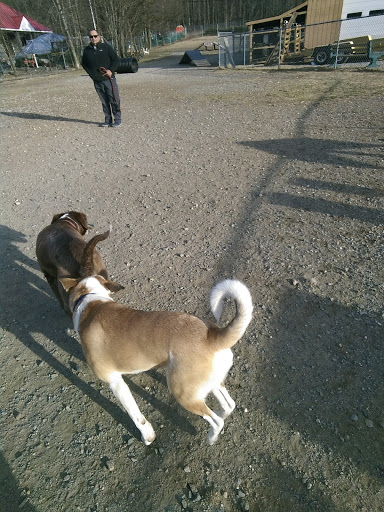 Pet Supply Store «Pequannock Feed & Pet Supply», reviews and photos, 85 Marshall Hill Rd, West Milford, NJ 07480, USA