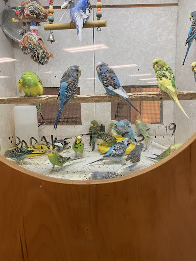 Pet Store «Forever Pets Inc», reviews and photos, 1030 Basse Rd, San Antonio, TX 78212, USA