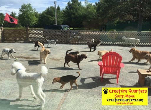 Creature Quarters Surry