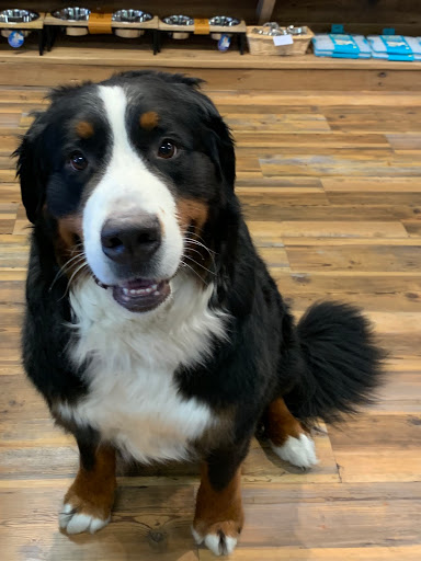 Pet Supply Store «Pets Naturally», reviews and photos, 1420 W South Airport Rd, Traverse City, MI 49686, USA