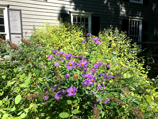 Nature Preserve «Westmoreland Sanctuary», reviews and photos, 260 Chestnut Ridge Rd, Mt Kisco, NY 10549, USA