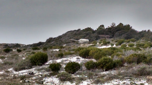 National Park «Fort Pickens», reviews and photos, 1400 Fort Pickens Rd, Pensacola Beach, FL 32561, USA