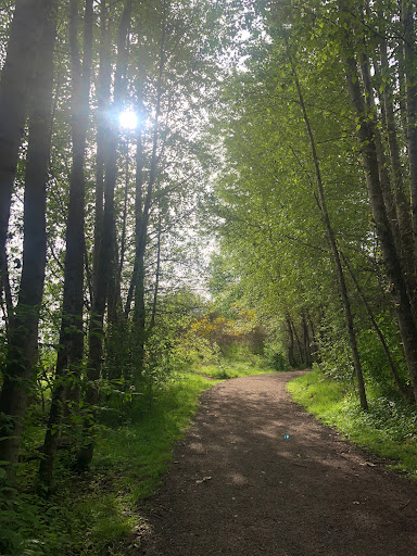 Park «N. Creek Park», reviews and photos, 1011 183rd St SE, Bothell, WA 98012, USA