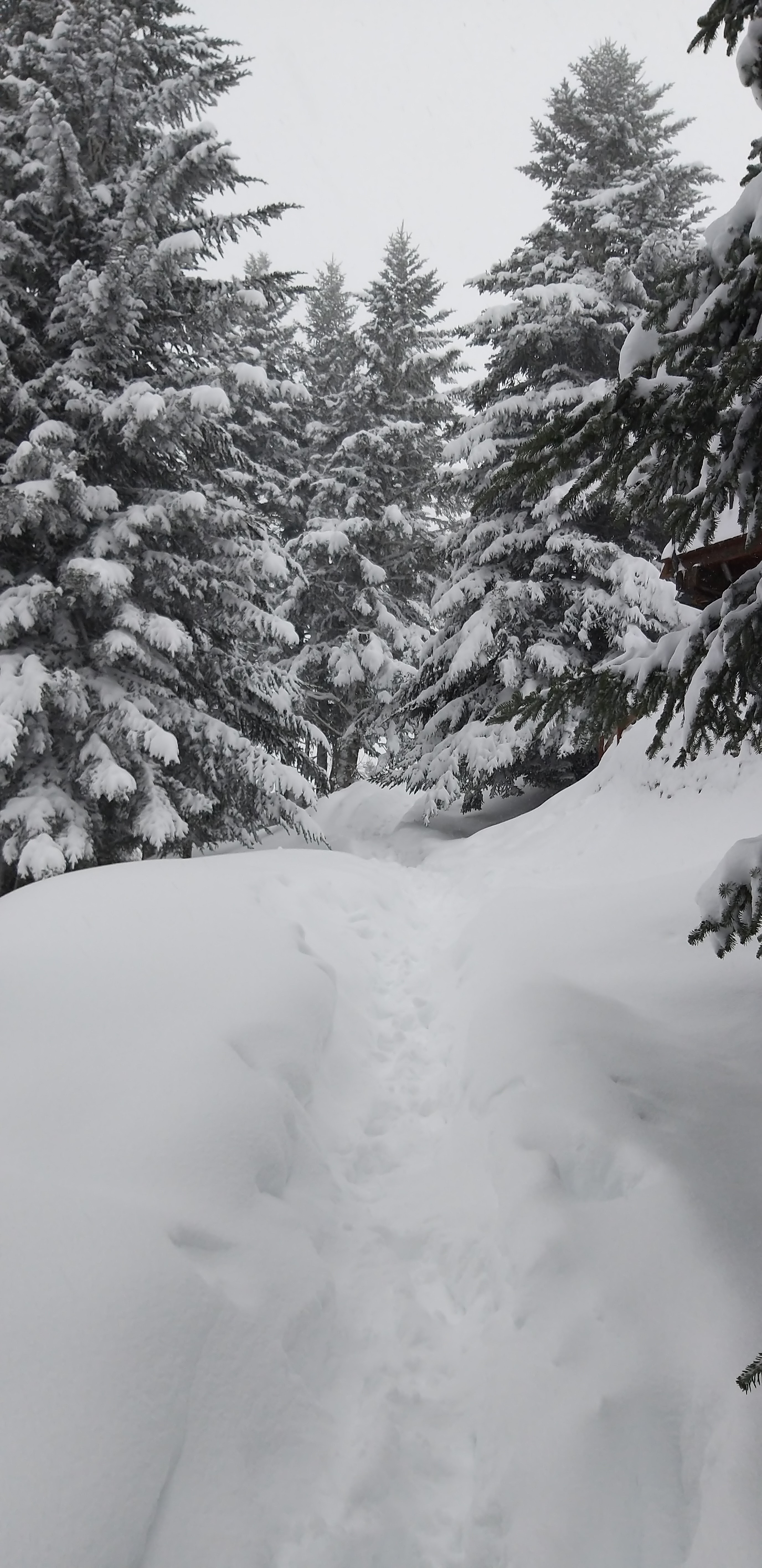 Photo n° 1 de l'avis de Nathalie.a fait le 02/02/2019 à 16:56