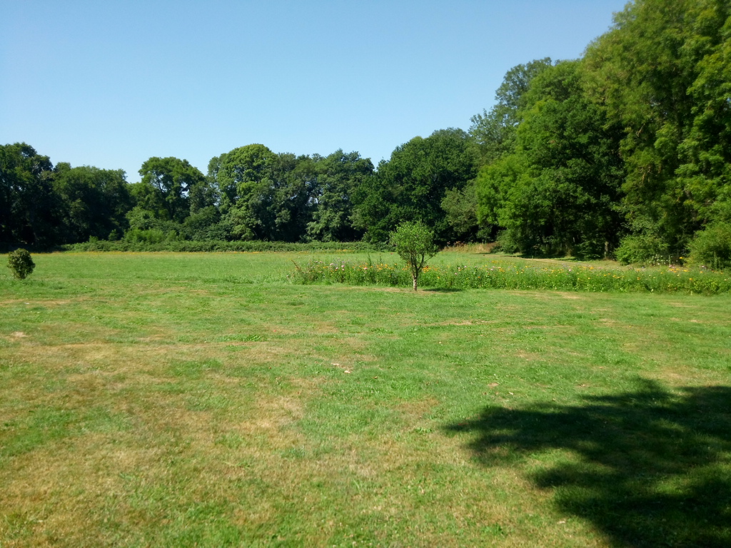 Photo n° 5 de l'avis de Jean-Baptiste.I fait le 25/07/2018 à 08:07
