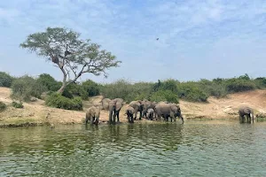 Nature Rave Uganda image