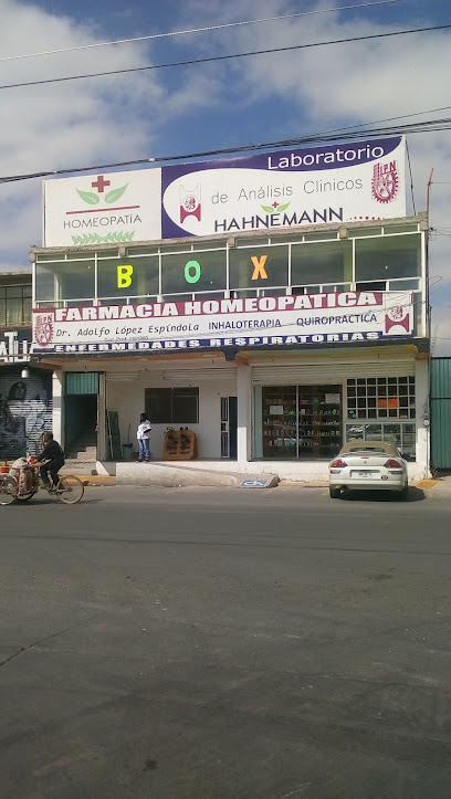 Hahnemann Homeopathic Pharmacy Avenida Ejido Colectivo Mz 530 Lote 1, Tlatelco, 56353 Chimalhuacan, Méx. Mexico