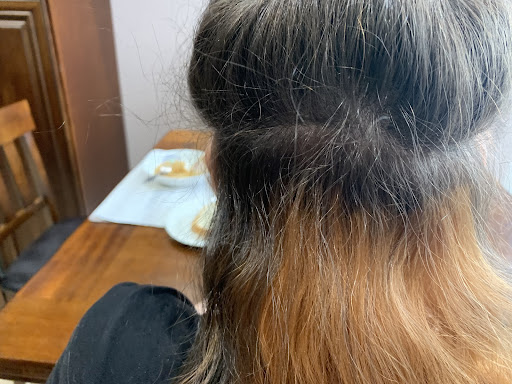 Beauty Salon «GS Hair Studio Beauty Salon and Spa», reviews and photos, 9016 N Milwaukee Ave, Niles, IL 60714, USA